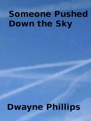 cover image of Someone Pushed Down the Sky